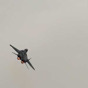 MiG-29 Fulcrum A 13