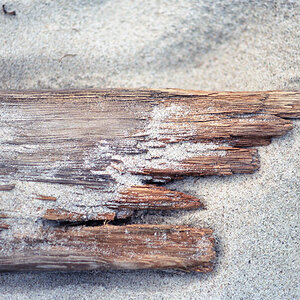 Strandgut