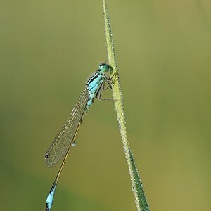 DSC 9431
