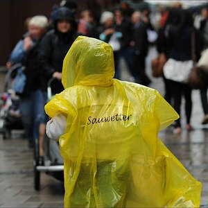 sauwetter 2W