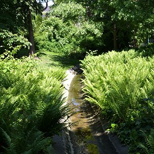 Wasser Stadtpark
