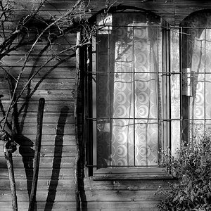 Fenster mit Rosen 002