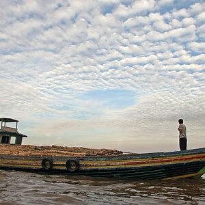 11 06 11Borneo000235