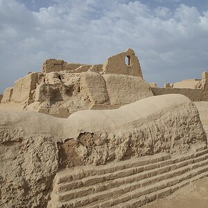 D3S 3159