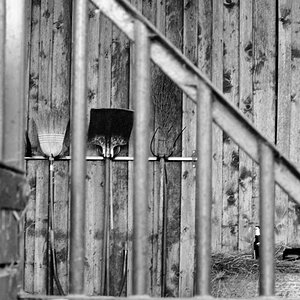 DSC 0778 web