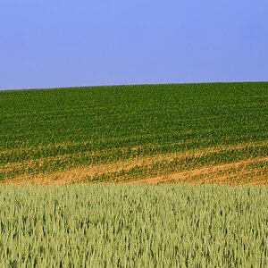 Three Colors #2
