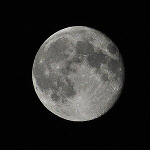 mond01