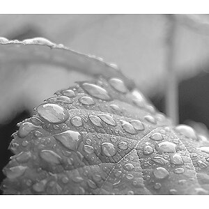 Regen 2