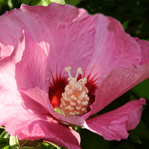 RSCN2399