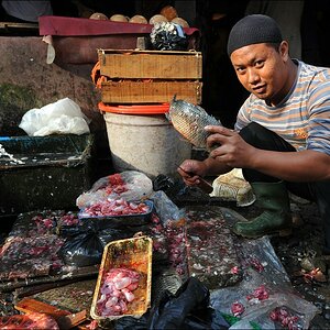 acomp indonesia 20110605 01436