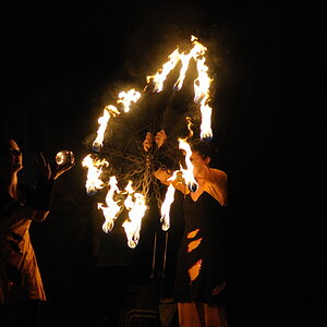DSC 0034 216 2 web