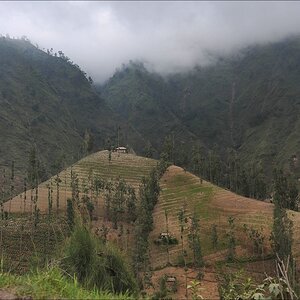 acomp indonesia 20110619 17888