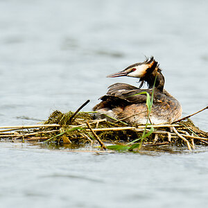 20110716 5113 [NIKON D7000] 850 mm,1 400 Sek. bei ƒ   7,1 2