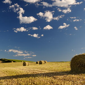 Crete Senesi
