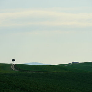 Crete Senesi