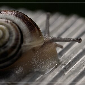 Compressed 0311