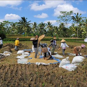 acomp indonesia 20110607 02331