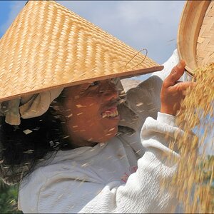 acomp indonesia 20110607 01741