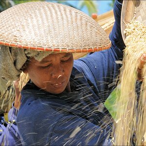 acomp indonesia 20110607 01826