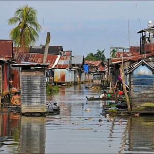 acomp indonesia 20110611 06530
