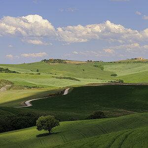bei Pienza Mitte Mai