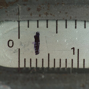 Das neu zusammengebaute 90/2.8 Macro (Maßstab 1:2) plus Vorsatzobjektiv 90/2.5 (Leitz Colorplan Diaprojektorobjektiv in Retrostellung): Maßstab 1:0,6