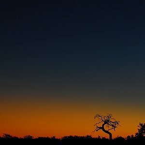 botswana sky3