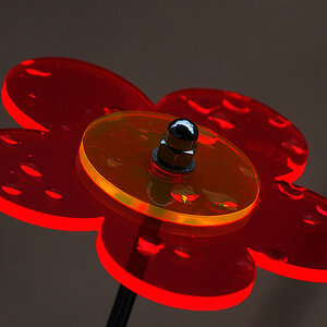 Acryl Blume
