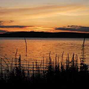 DSC 0707 W1049