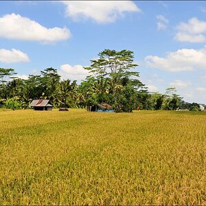 acomp indonesia 20110607 02386