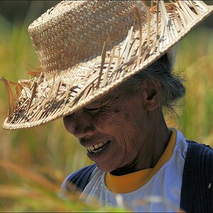 acomp indonesia 20110607 01953