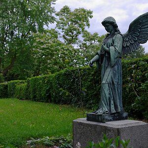 Schau heimwärts Engel