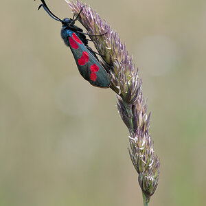DSC 5253 bearb