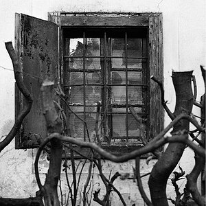 Einzelfenster 09