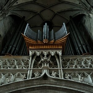 Orgel #1