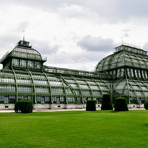 Palmenhaus