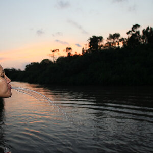 11 06 13Borneo000038
