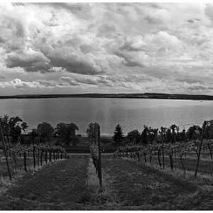 Pano Bodensee in sw