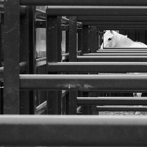 DSC 1840 web
http://www.nikon-fotografie.de/vbulletin/1594624-post9399.html