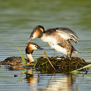 20110704 4116 [NIKON D7000] 850 mm,1 400 Sek. bei ƒ   6,3