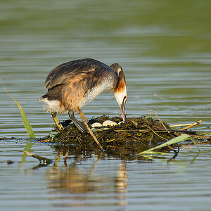 20110704 4125 [NIKON D7000] 850 mm,1 200 Sek. bei ƒ   6,3