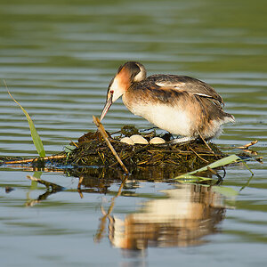 20110704 4139 [NIKON D7000] 850 mm,1 400 Sek. bei ƒ   6,3