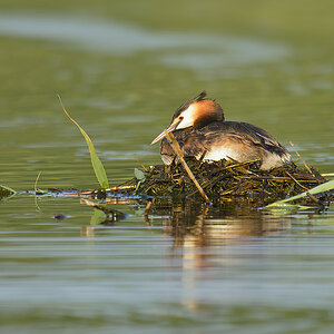 20110704 4144 [NIKON D7000] 850 mm,1 160 Sek. bei ƒ   6,3