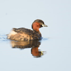 20110704 4172 [NIKON D7000] 850 mm,1 160 Sek. bei ƒ   6,3