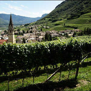 Tramin01