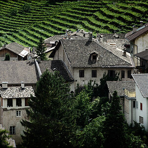 Tramin02