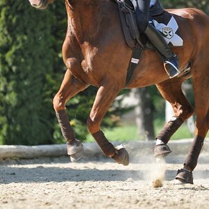 DSC 0407 small