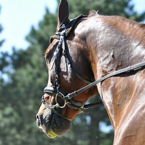 DSC 0359 small