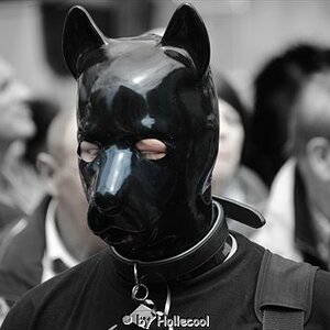 csd13