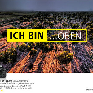 ich bin.jpeg